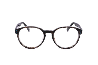 TORTOISE variant main image