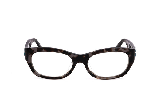 TORTOISE variant main image