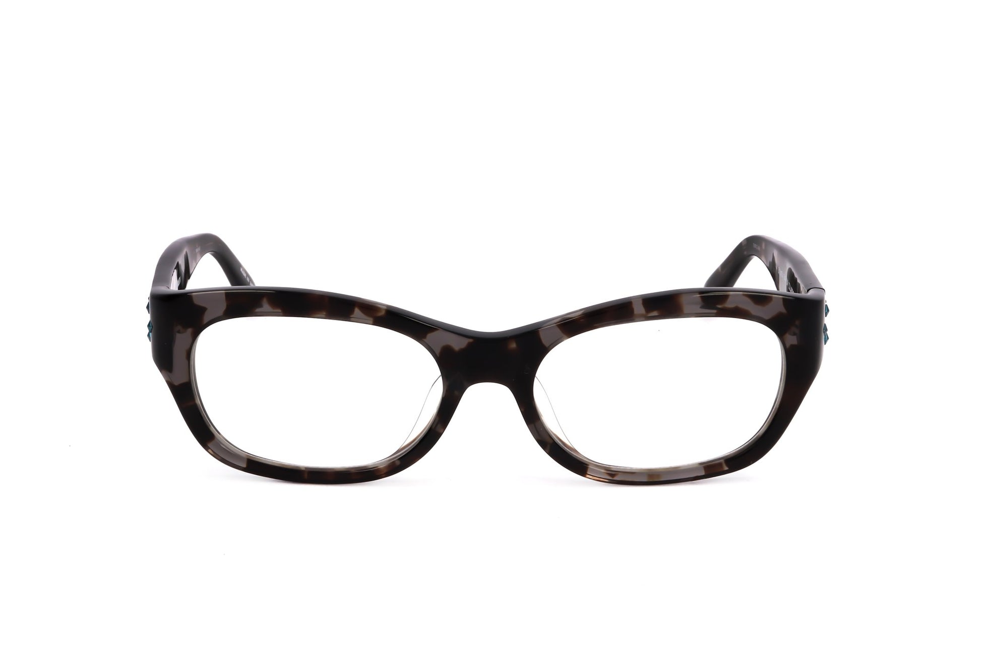 TORTOISE variant main image