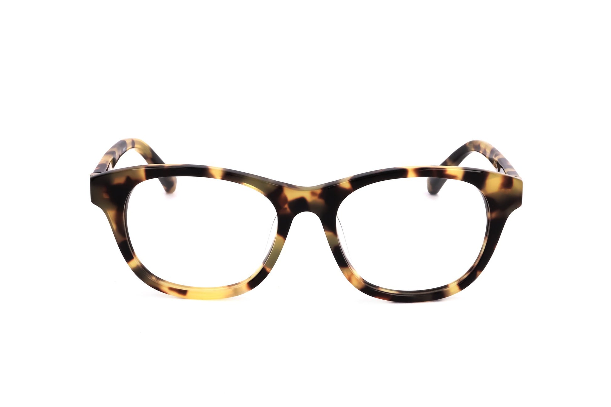 TORTOISE variant main image