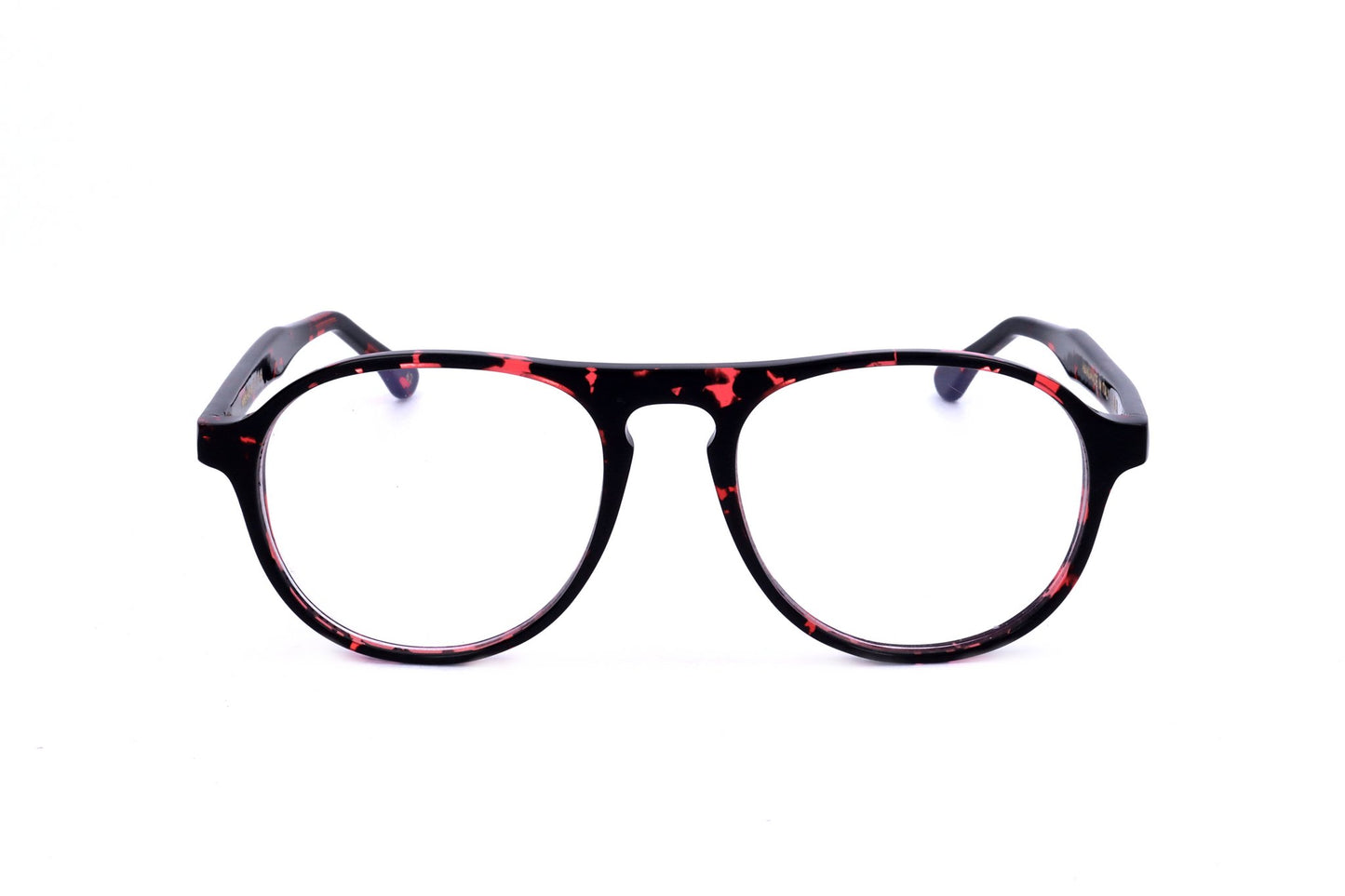 TORTOISE 1 variant main image