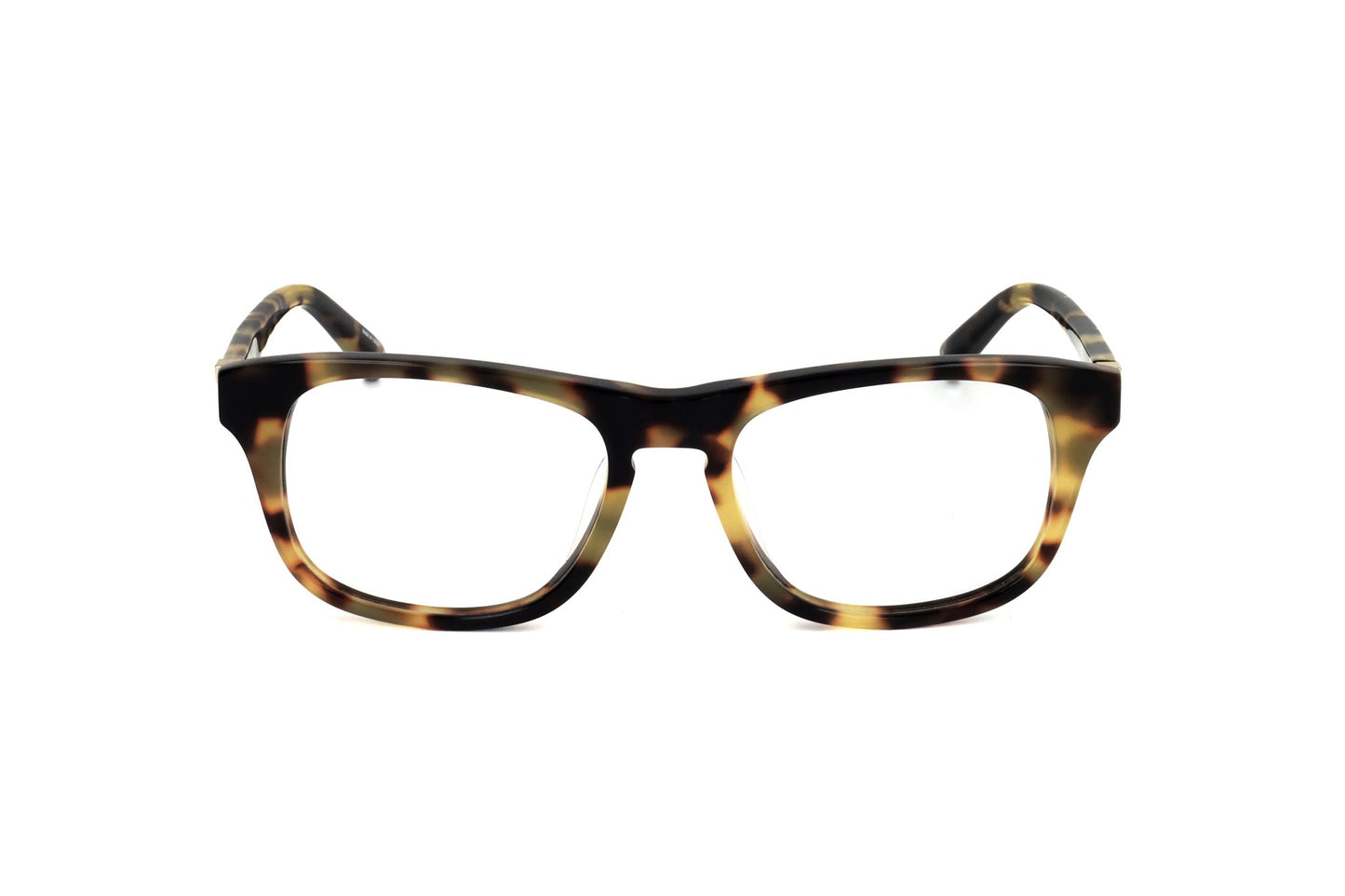 TORTOISE variant main image