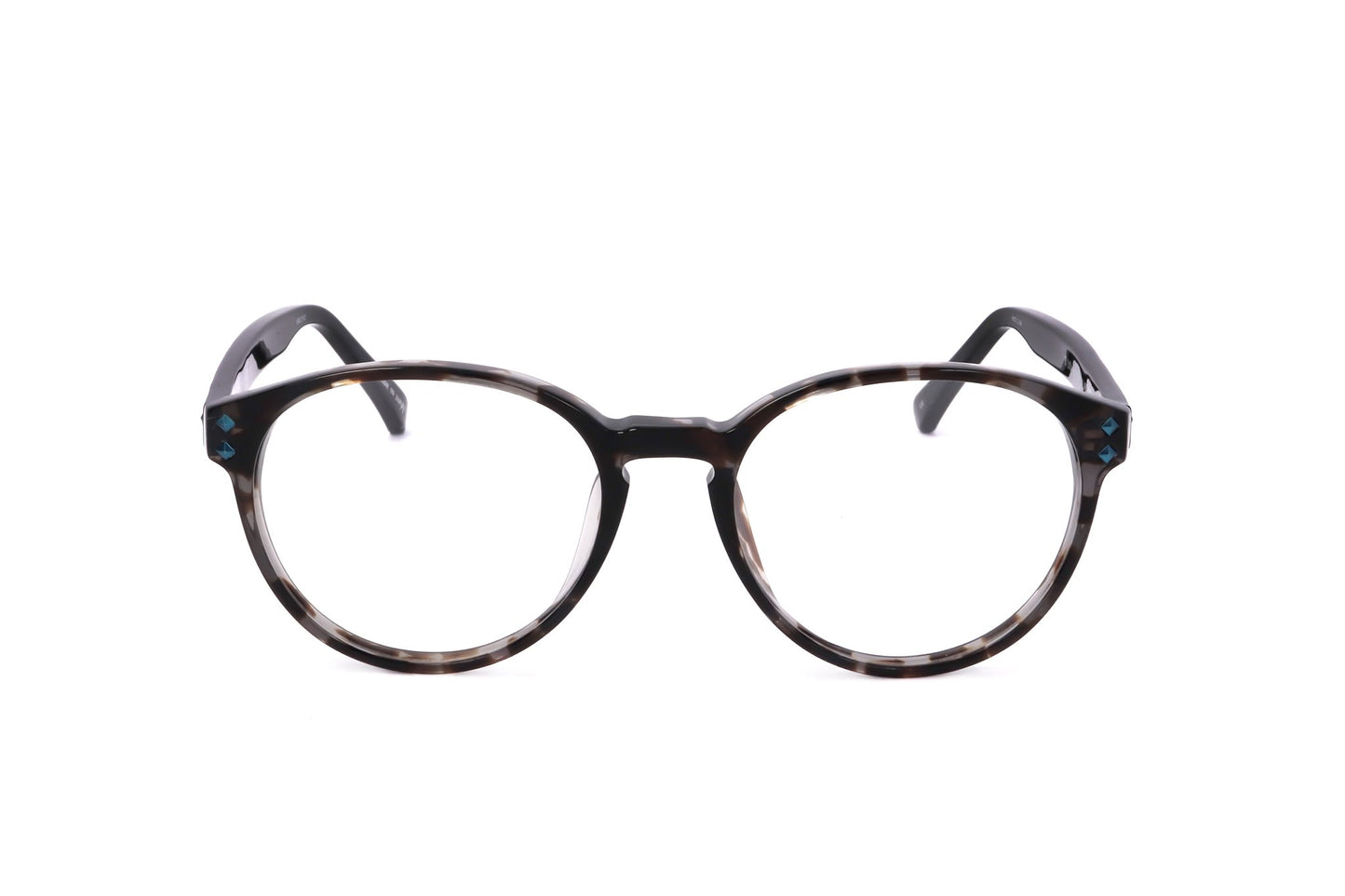 TORTOISE variant main image