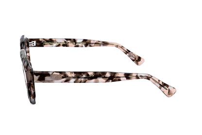 TORTOISE variant third image