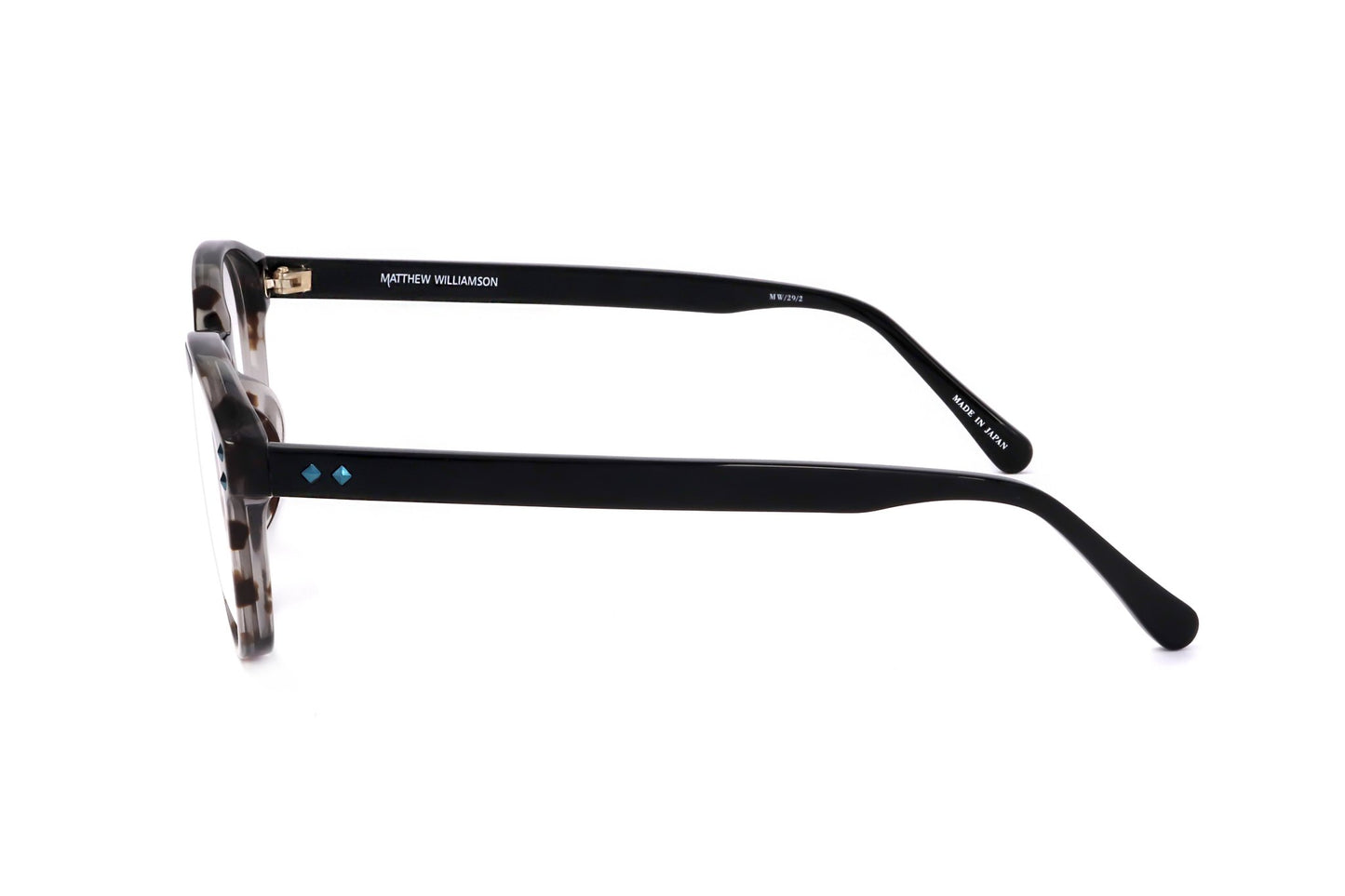 TORTOISE variant third image