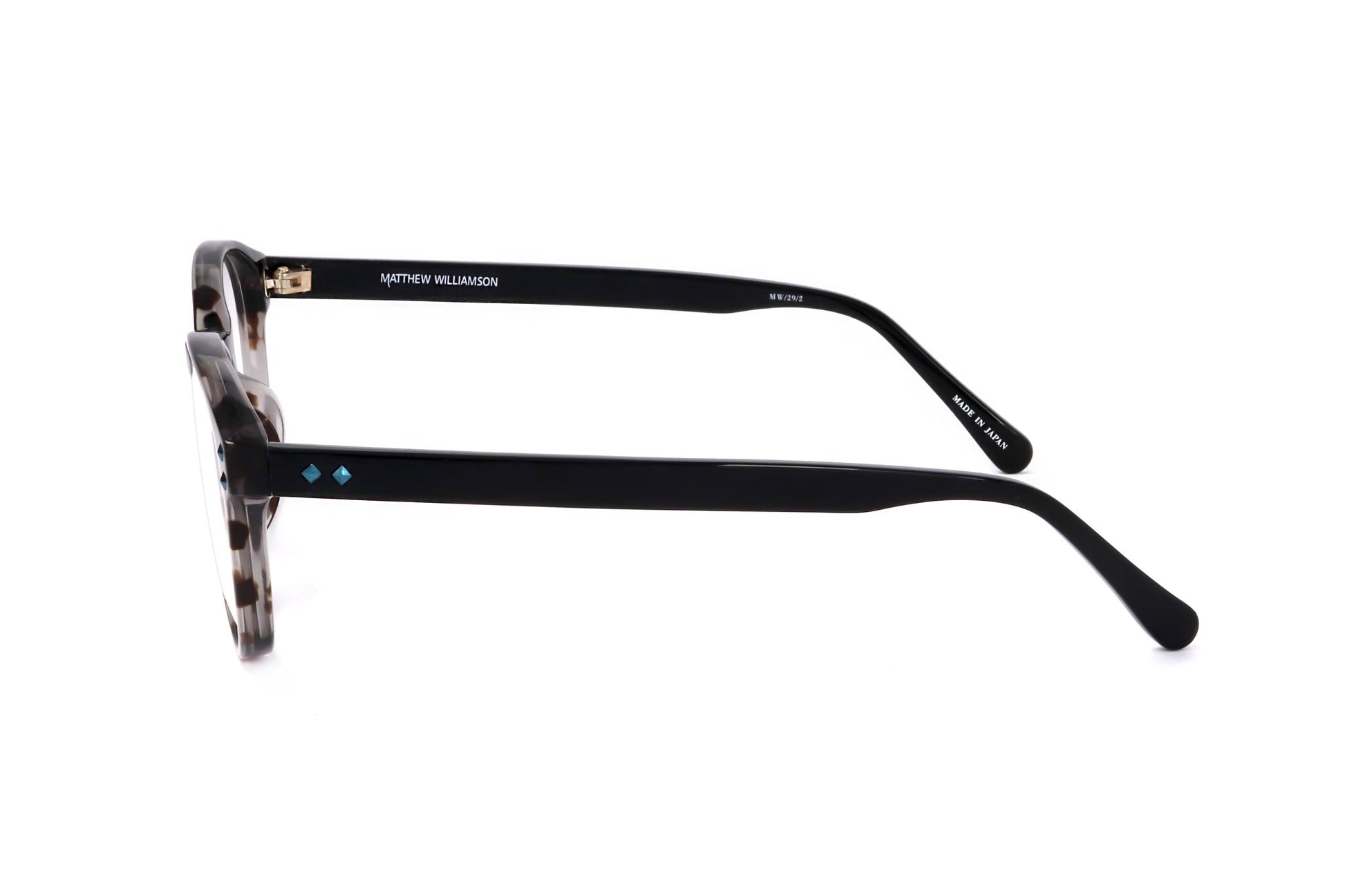 TORTOISE variant third image