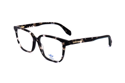 TORTOISE variant second image