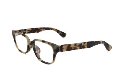 TORTOISE variant second image