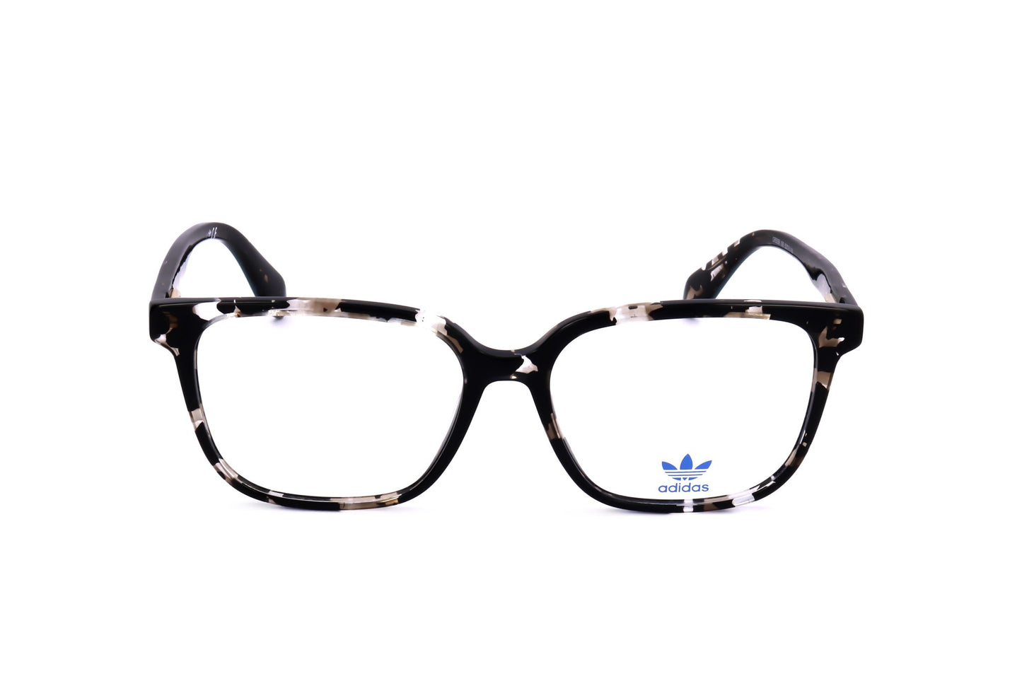 TORTOISE variant main image