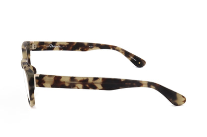 TORTOISE variant third image