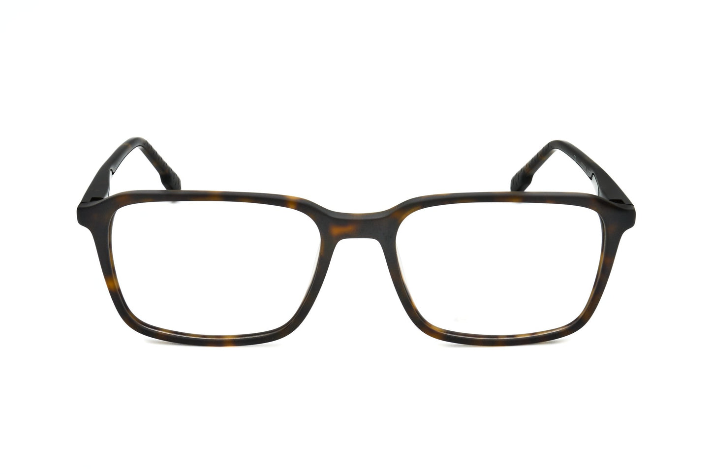TORTOISE variant main image