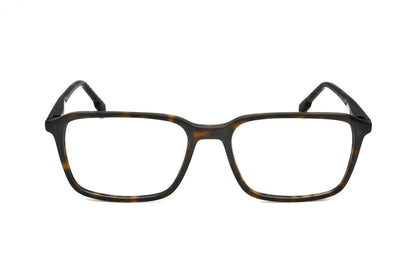 TORTOISE variant main image
