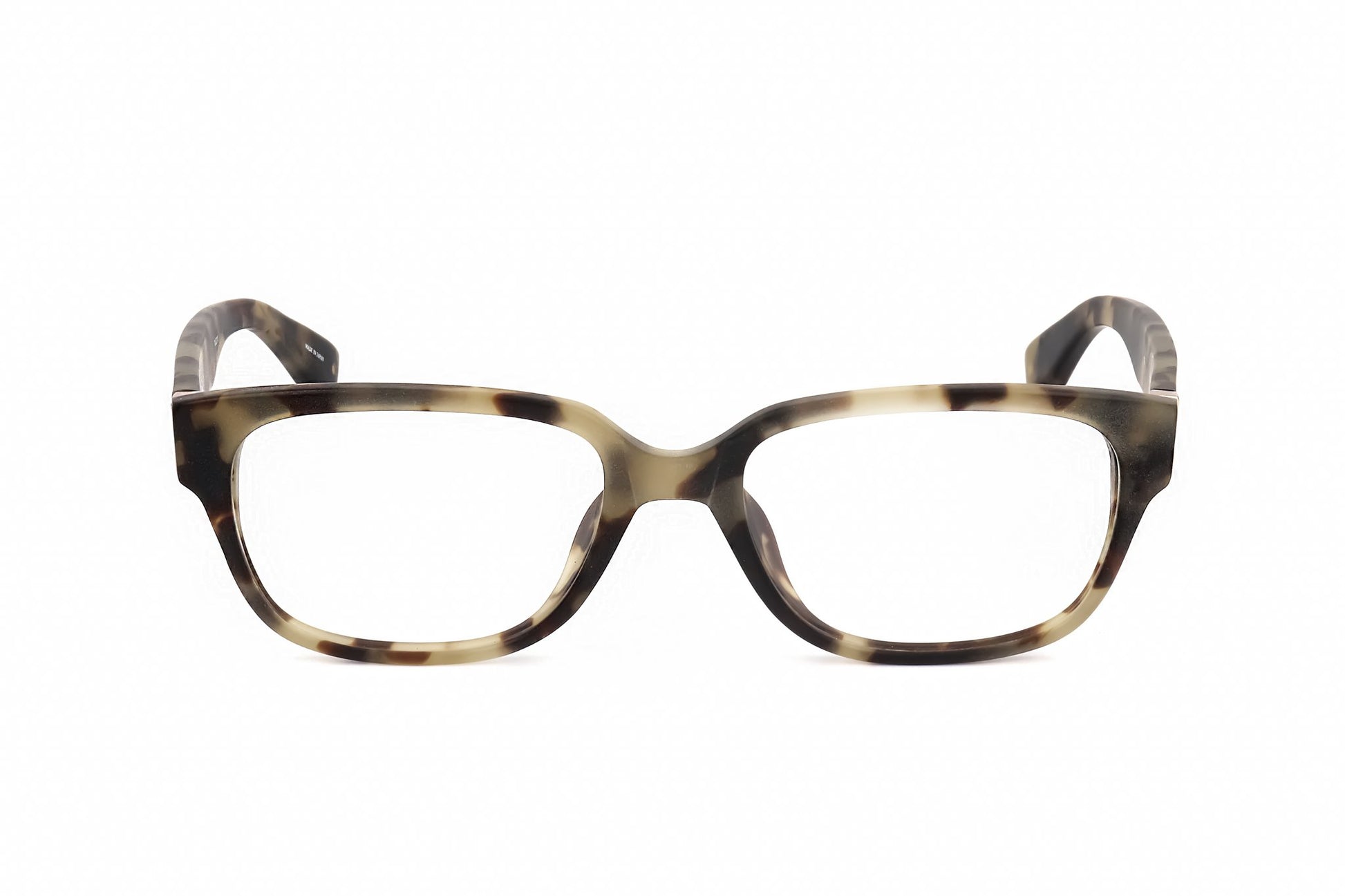 TORTOISE variant main image