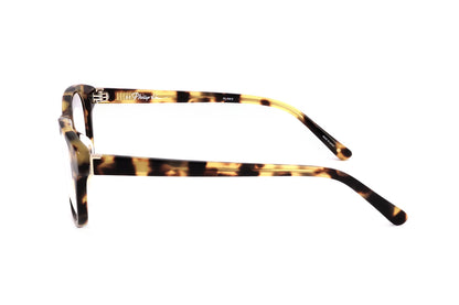 TORTOISE variant third image