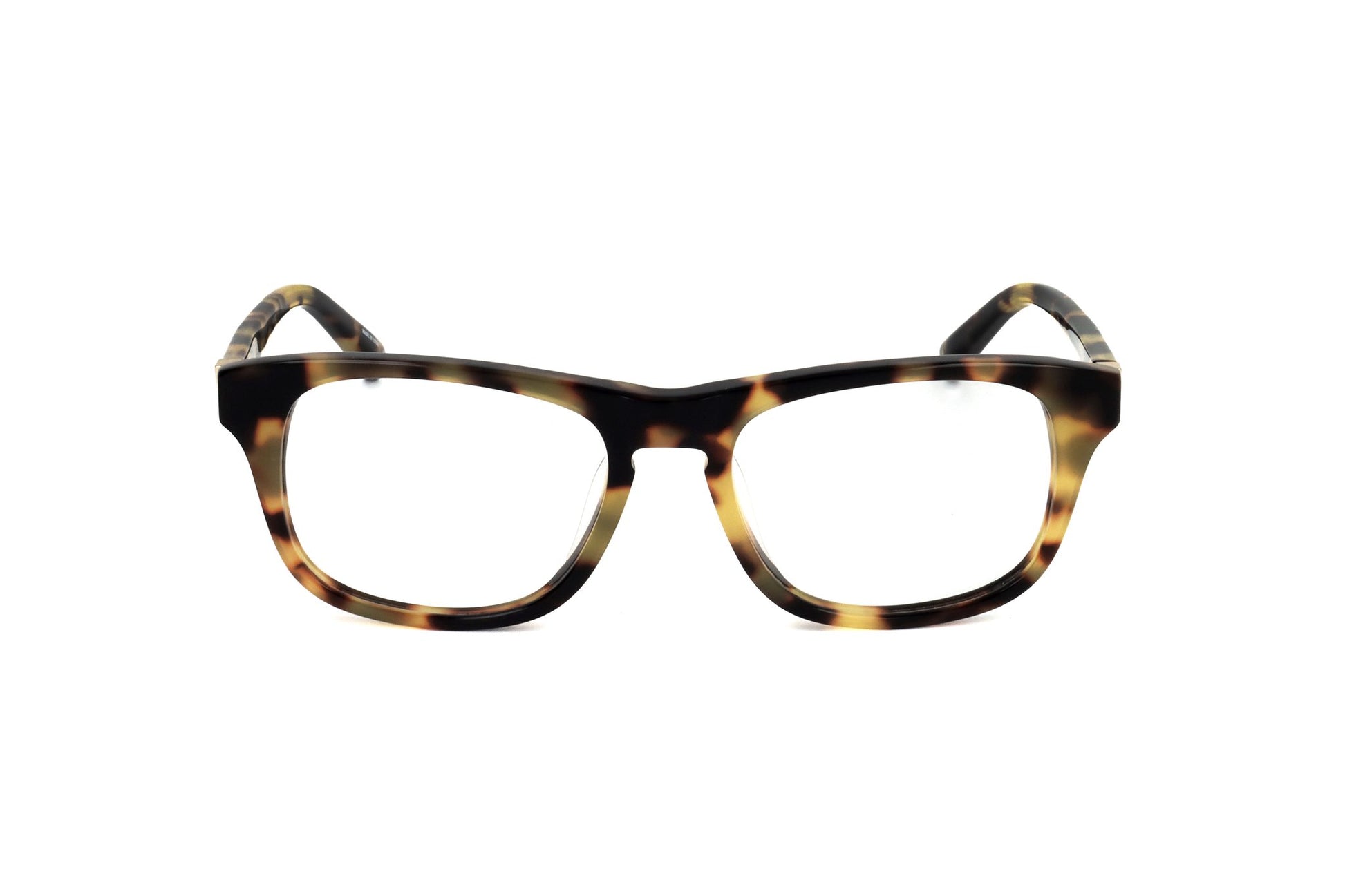 TORTOISE variant main image