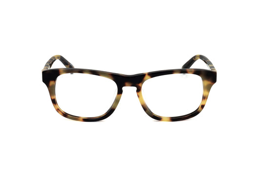 TORTOISE variant main image