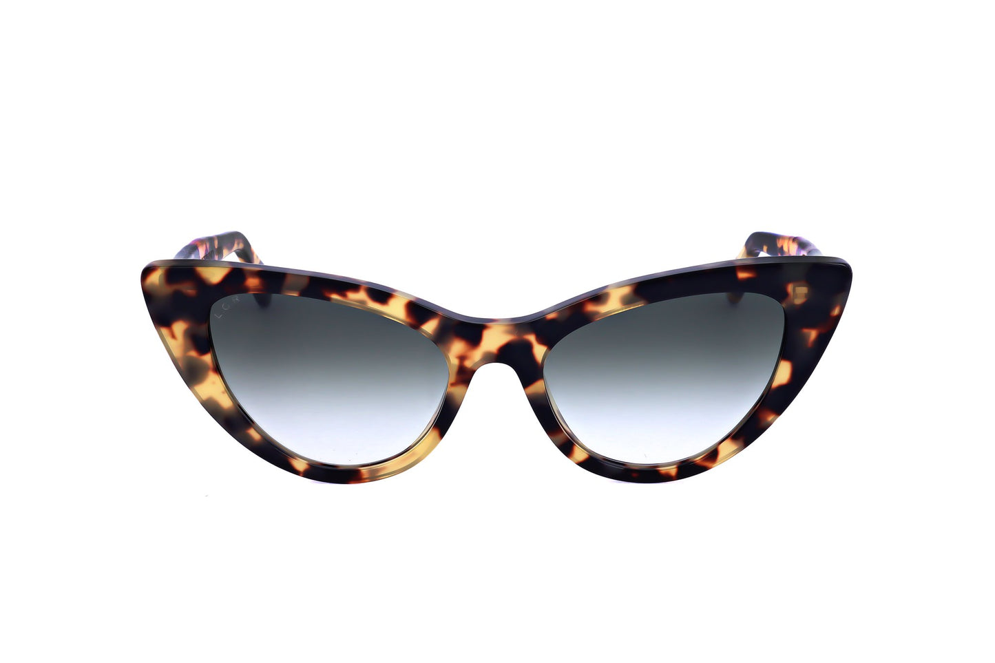 TORTOISE variant main image