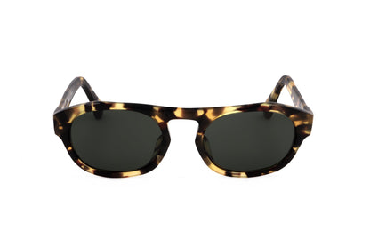 TORTOISE 1 variant main image